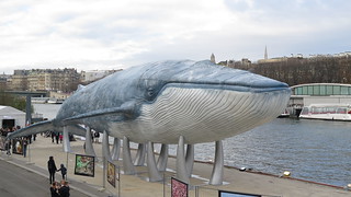 COP21 期間在巴黎街頭展出的藝術作品：鯨魚