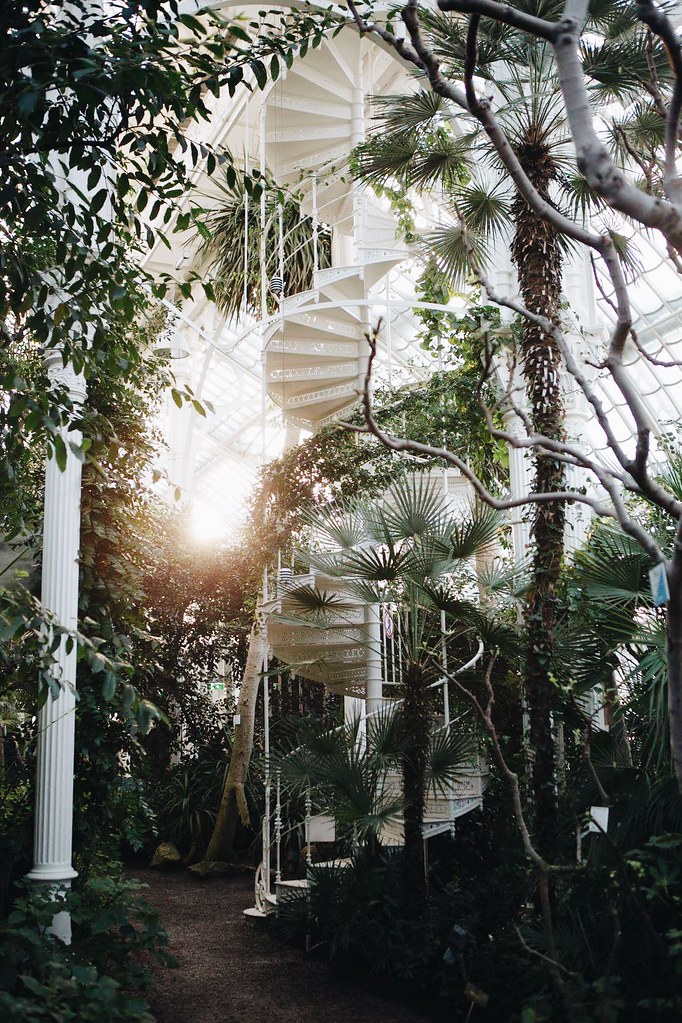 Blog The Curly Head, Palmenhaus Vienna, Photography by Amelie Niederbuchner, Wien, Travel Diary, BSXH6327