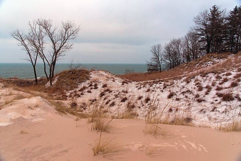 Winter Dunes