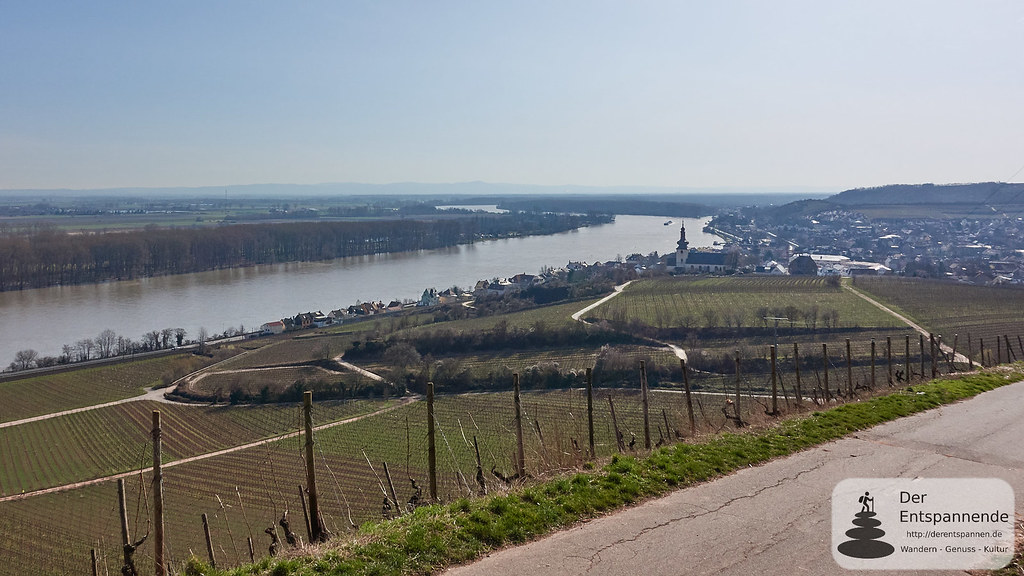 Rhein und Nierstein