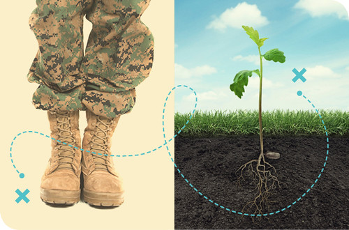 A graphic of a soldier's boots and a plant side-by-side