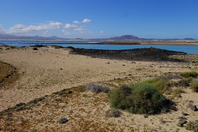 Fuerteventura (Islas Canarias). La isla de las playas y el viento. - Blogs de España - Corralejo, Islote de Lobos (vuelta a la isla, ruta a pie) y Dunas de Corralejo. (24)
