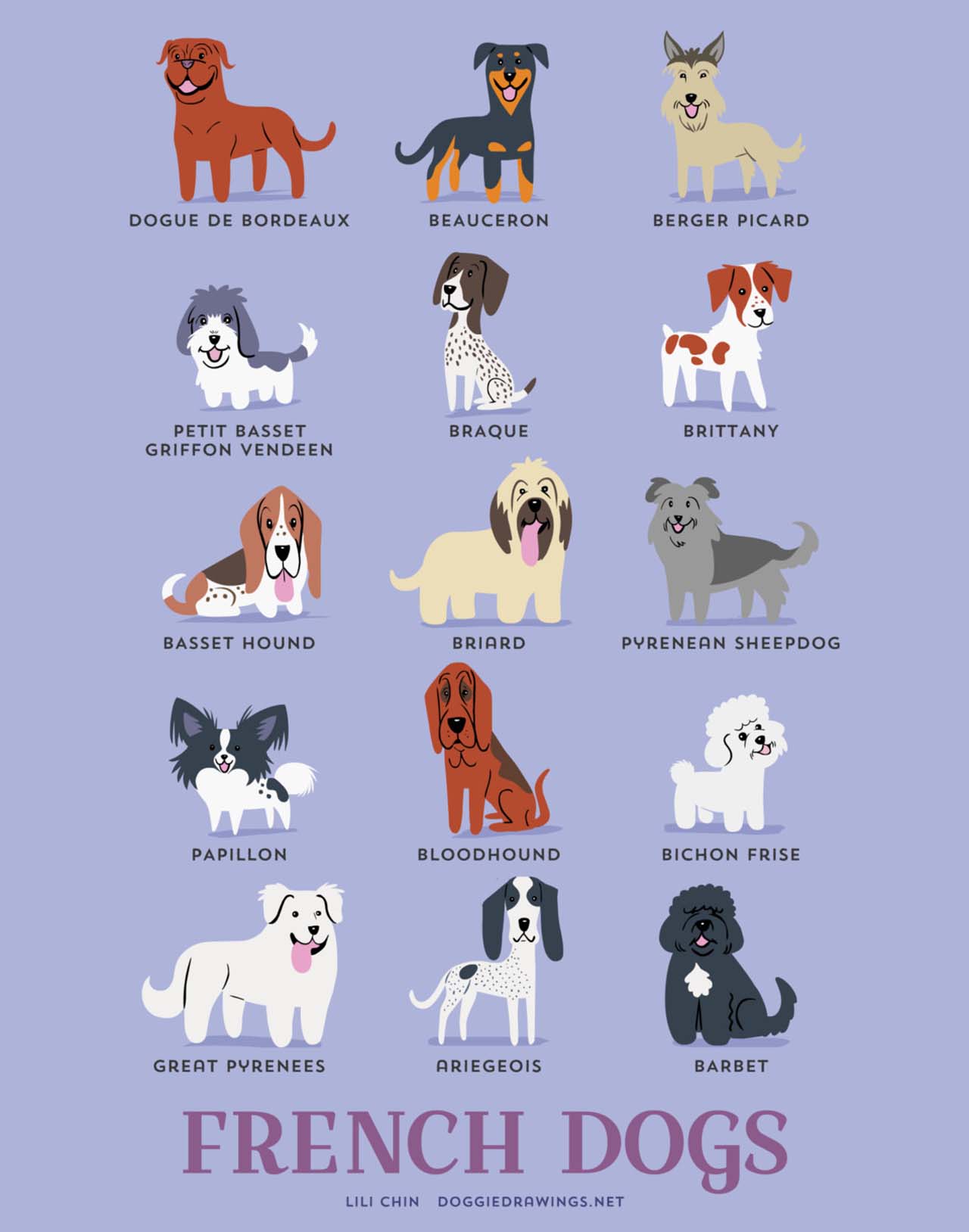 Origin Of Dogs: Cute Illustration By Lili Chin Show Where Dog Breeds Originating From #2: French Dogs