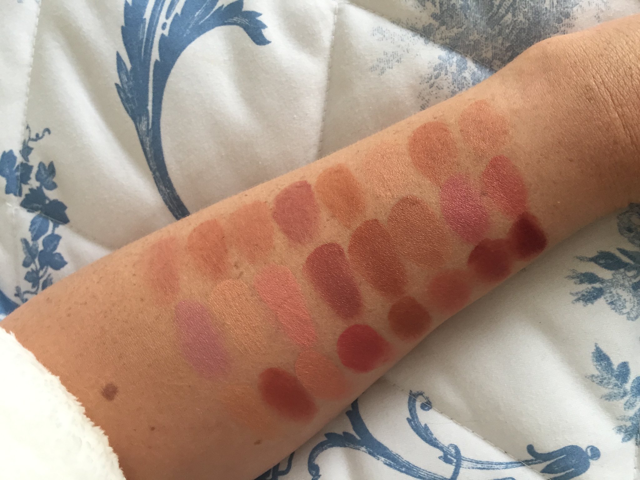 Freedom pro lipstick palette naked review and swatches
