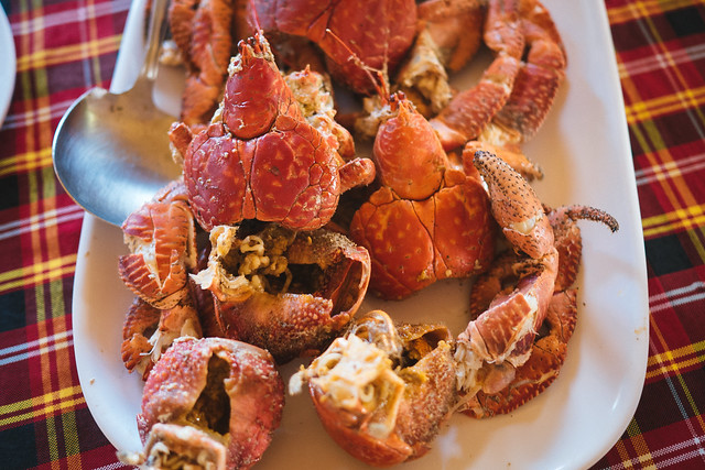 Coconut crabs