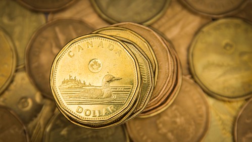 Canadian Loonie dollars