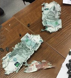 chewed Russian ruble notes