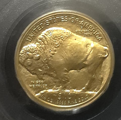 Copper spot on gold Buffalo