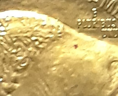 Copper spot on gold Buffalo close-up