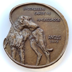 Angus, Brookgreen Gardens Ambassador