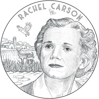 Rachel Carson medal obverse sketch
