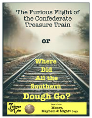 Confederate Treasure Train book cover