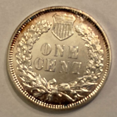 1896  Silvered Indian Cent reverse