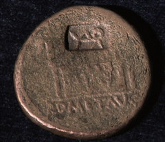 Teutoburg Forest Coin Find