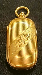 Gold coin carrying case3