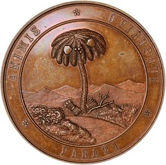 1861 South Carolina Medal obverse