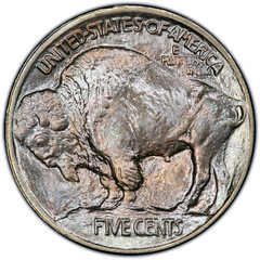 1913 Buffalo NIckel reverse