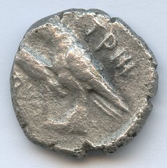 Istros Silver Drachm reverse
