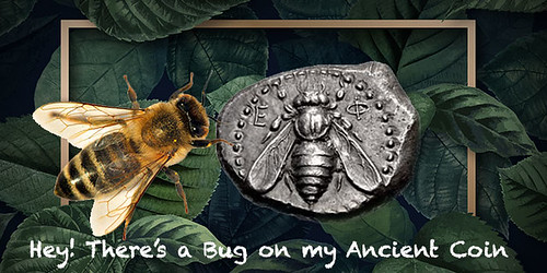 Bugs on ancient coins