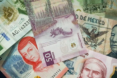 A 50-peso bank note featuring an axolotl, or Mexican salamander