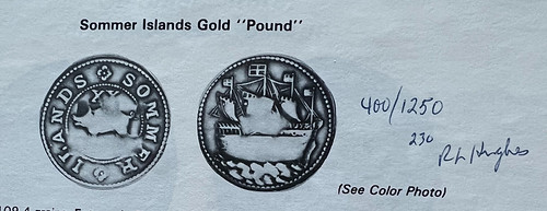 Fantasy Sommer Island gold pound Garrett sale