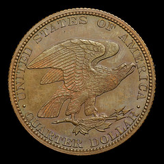 Shield Earring quarter dollar in copper reverse