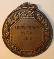 Hungary Levente medal 2 reverse