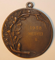 Hungary Levente medal 1 reverse