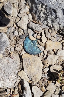 Bernese Alps coin find 1