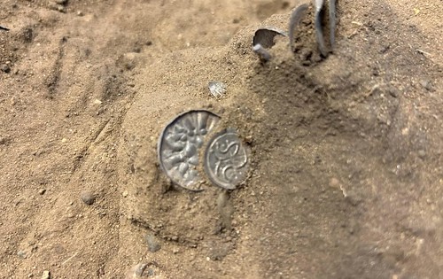 Viking coins found in Denmark