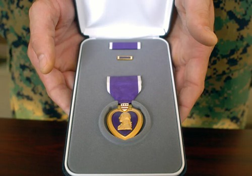 Purple Hearty medal in case