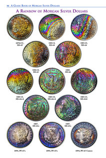 b_GB-Morgan-Silver-Dollars-7th-edition_pg090