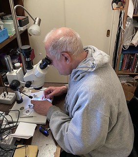 Mike Diamond at microscope