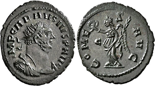 Early Carausius aurelianus