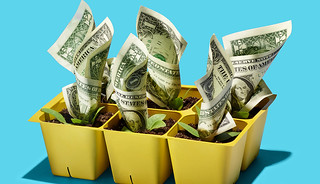Growing Money like plants