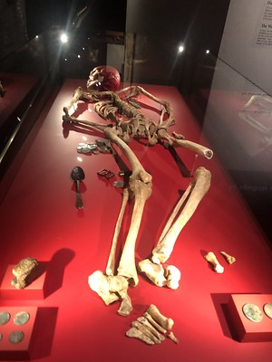 Waterloo skeleton
