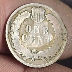 Pooping dog counterstamp on indian Cent reverse