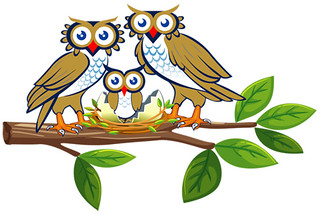 Owl-family Whitman Brands
