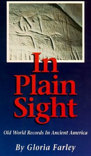 Gloria Stewart Farley In Plain Sight Book Cover