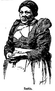 Sophia Holmes 1893-06-11 article