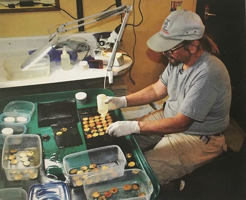 Bob Evans at the coin exam table