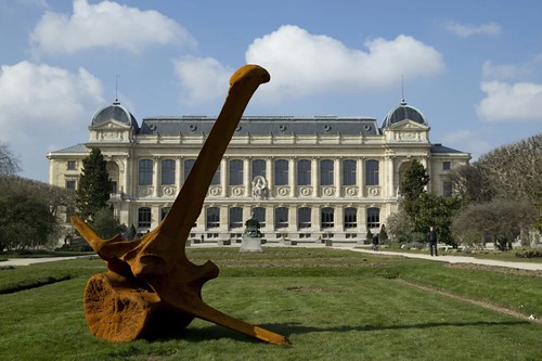he Natural History Museum in Paris