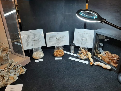 Diary 2025-10 Pittsburgh PAN Show SSCA Bob Evans display sediment etc