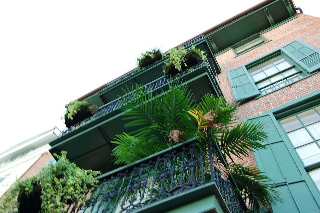 A series of vibrant plants on wrought-iron balconies.