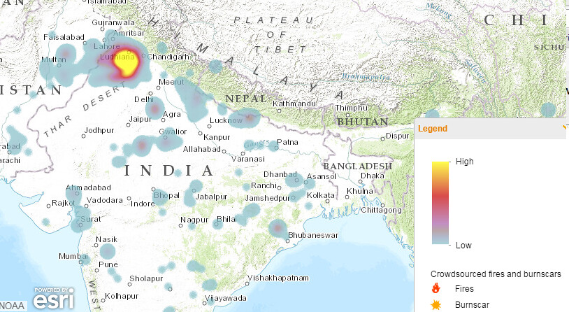 Fire intensity in Punjab due to burning of rice straw. (Source: Global Forest Watch)