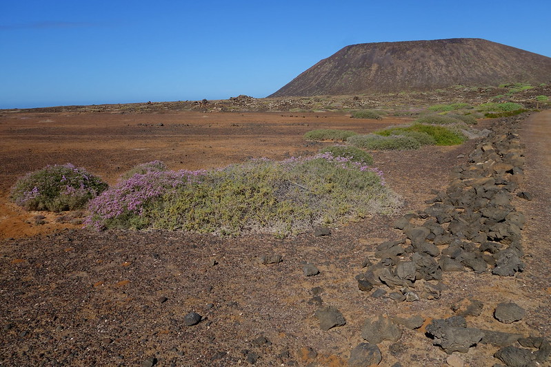 Fuerteventura (Islas Canarias). La isla de las playas y el viento. - Blogs de España - Corralejo, Islote de Lobos (vuelta a la isla, ruta a pie) y Dunas de Corralejo. (22)