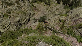 Descente de la vire oblique de Serra Pianella en vue des bergeries de Laoscella