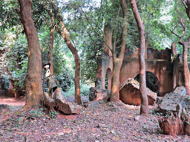 Hallowed Forest of Kpasse Benin Africa
