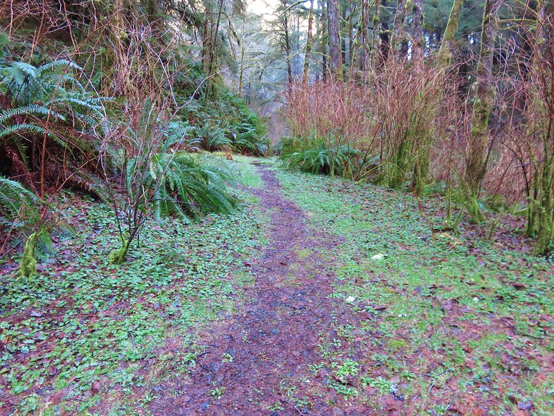 Use trail leading from the Campground into the Rock Creek Wilderness