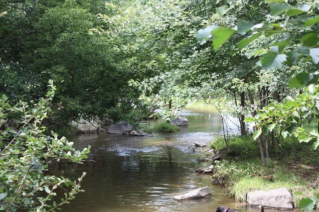 Saucony Creek